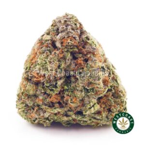 Buy weed Blueberry Octane AAAA at wccannabis weed dispensary & online pot shop