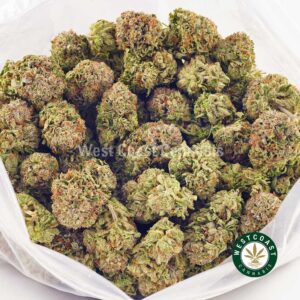 Buy weed Blueberry Octane AAAA at wccannabis weed dispensary & online pot shop
