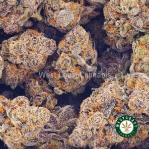 Buy weed Purple Death Star AAAA at wccannabis weed dispensary & online pot shop