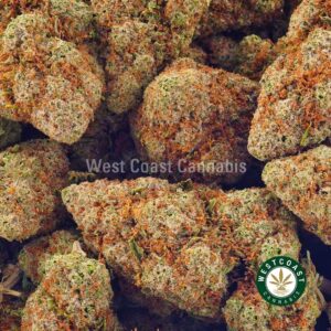 Buy weed Citrus Cookies AAAA (Popcorn Nugs) at wccannabis weed dispensary & online pot shop