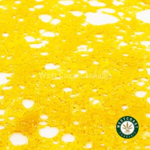 Buy Premium Shatter - Red Dragon (Sativa) at Wccannabis Online Dispensary