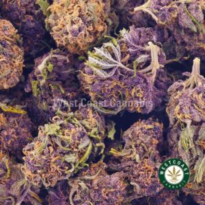 Buy weed Purple Tropicana AA at wccannabis weed dispensary & online pot shop