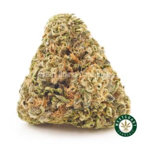 Buy weed Super Bud AAA at wccannabis weed dispensary & online pot shop