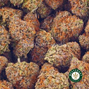 Buy weed Tropicana AAAA at wccannabis weed dispensary & online pot shop