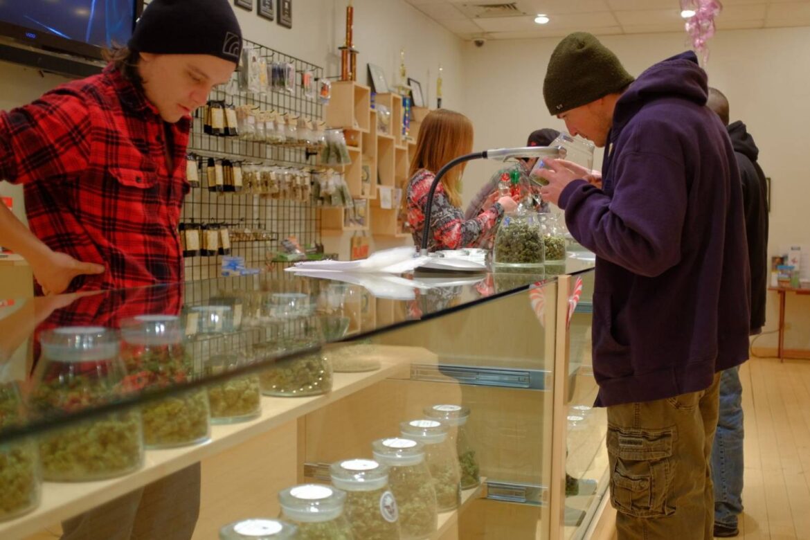 Are you looking to buy quality dispensary weed from a trusted cannabis shop online? To help you navigate to the best weed online, we have gathered some helpful tips & tricks for you.