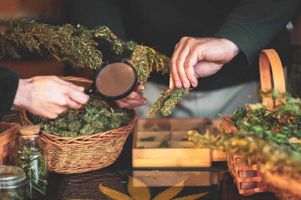 Do you know the must have features for an online weed shop? If you don't know these features, keep reading to find out what are these features.