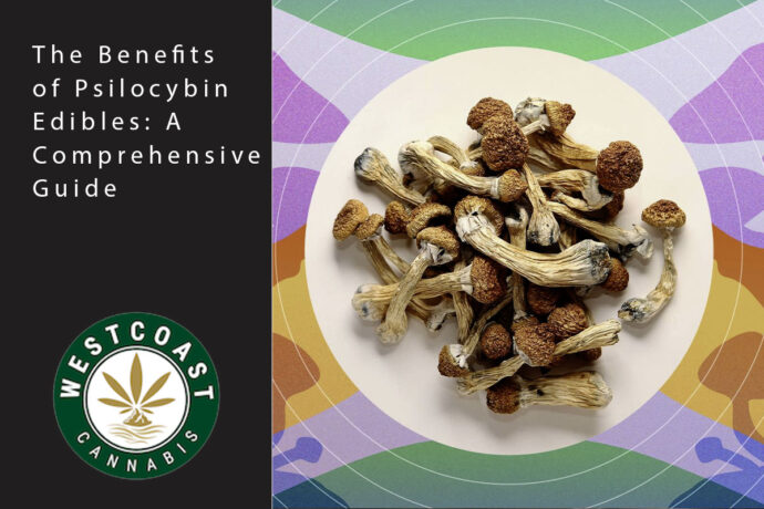 wcc blog edibles mushroom