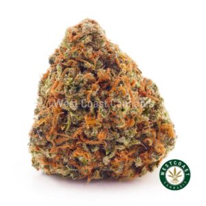 Buy weed Blueberry Icewreck AA wccannabis weed dispensary & online pot shop