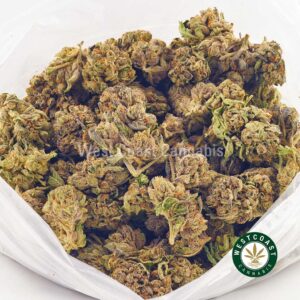 Buy weed Granddaddy Purple AA at wccannabis weed dispensary & online pot shop