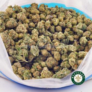 Buy weed Tropicana Punch AAAA (Popcorn Nugs) at wccannabis weed dispensary & online pot shop