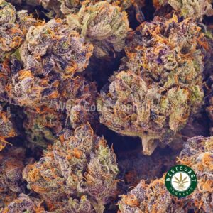 Buy weed Pink Bruce Banner AAAA at wccannabis weed dispensary & online pot shop