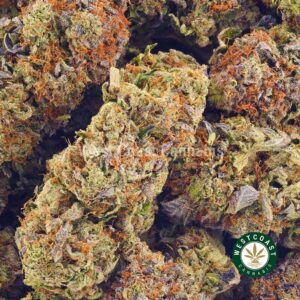 Buy weed Blue Comatose AAA wccannabis weed dispensary & online pot shop