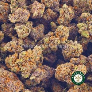 Buy weed Grape Runtz AAAA (Popcorn Nugs) wccannabis weed dispensary & online pot shop