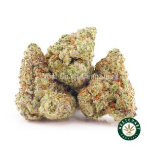 Buy weed Snow White AAAA (Popcorn Nugs) wccannabis weed dispensary & online pot shop