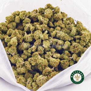 Buy weed NYC Diesel AA (Popcorn Nugs) wccannabis weed dispensary & online pot shop
