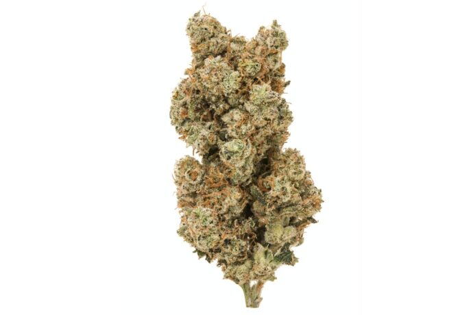 In this White Widows strain review, you'll uncover the THC percentage of this strain, its terpene profile, aroma and flavour, as well as the expected effects.