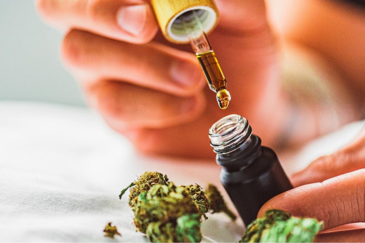 Do you know how to make pure THC oil? This detailed guide on making weed oil will help you create a high-quality concoction like a professional.