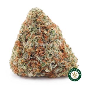 Buy weed Papaya Cake AAA wc cannabis weed dispensary & online pot shop