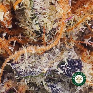 Buy weed Papaya Cake AAA wc cannabis weed dispensary & online pot shop