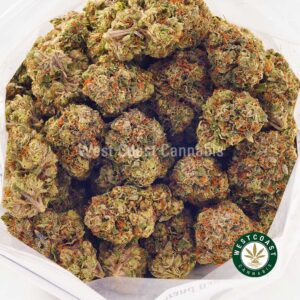 Buy weed Platinum Bubba Kush AA wccannabis weed dispensary & online pot shop