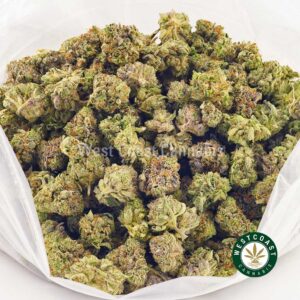 Buy weed Pink Rockstar AAAA (Popcorn Nugs) wccannabis weed dispensary & online pot shop