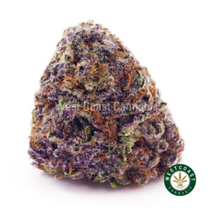 Buy weed Purple Crush AAAA wccannabis weed dispensary & online pot shop