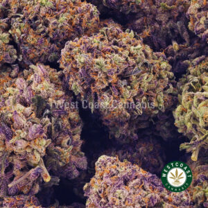 Buy weed Purple Wreck AAAA wccannabis weed dispensary & online pot shop