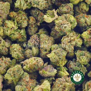 Buy weed God Bud AAA (Popcorn Nugs) wccannabis weed dispensary & online pot shop