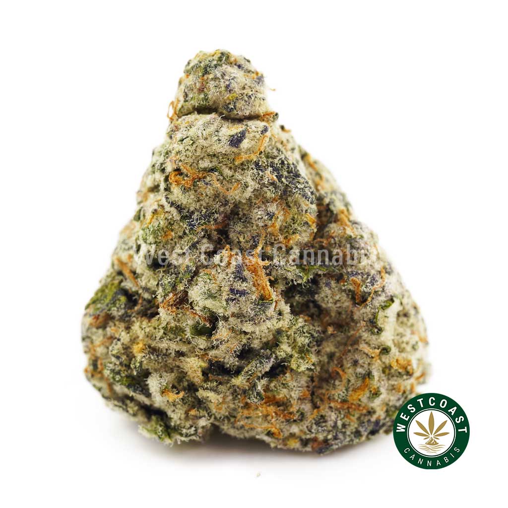 Buy weed Gorilla Cookies AAAA wccannabis weed dispensary & online pot shop