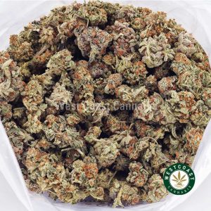 Buy weed Blueberry Gelato AAAA (Popcorn Nugs) wccannabis weed dispensary & online pot shop