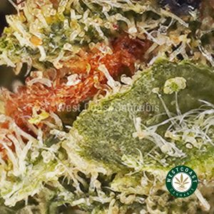 Buy weed Grape Kush AA wccannabis weed dispensary & online pot shop