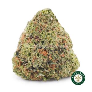 Buy weed Blue Comatose AA wccannabis weed dispensary & online pot shop