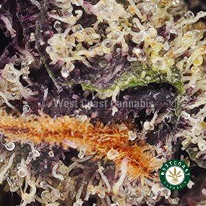 Buy weed Purple Candy AAAA (Popcorn Nugs) wccannabis weed dispensary & online pot shop