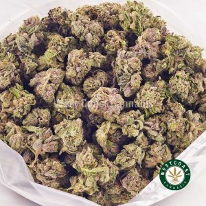 Buy weed Purple Candy AAAA (Popcorn Nugs) wccannabis weed dispensary & online pot shop
