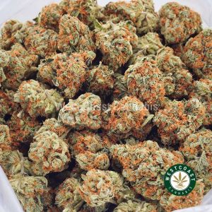 Buy weed Tropicana AA wccannabis weed dispensary & online pot shop