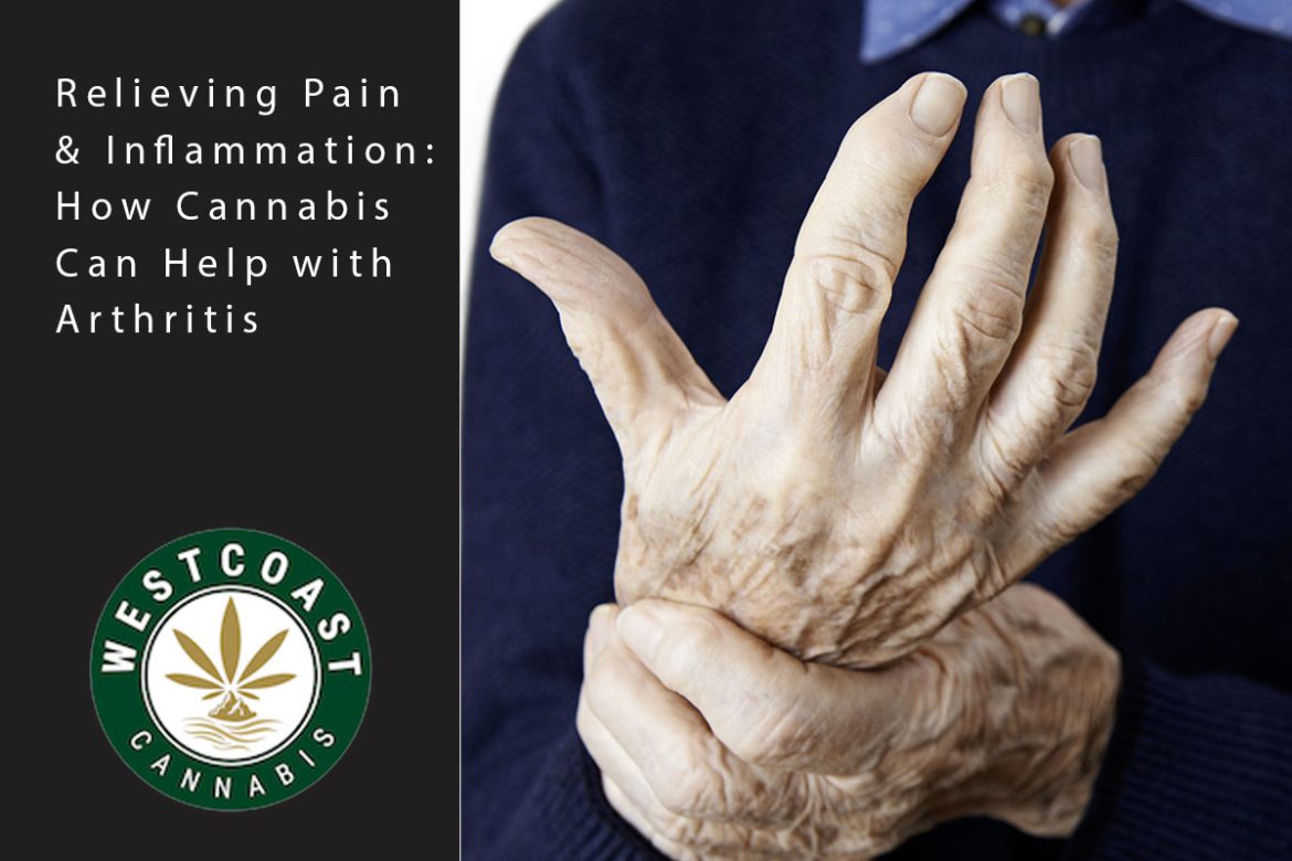 wcc blog pain and inflammaton