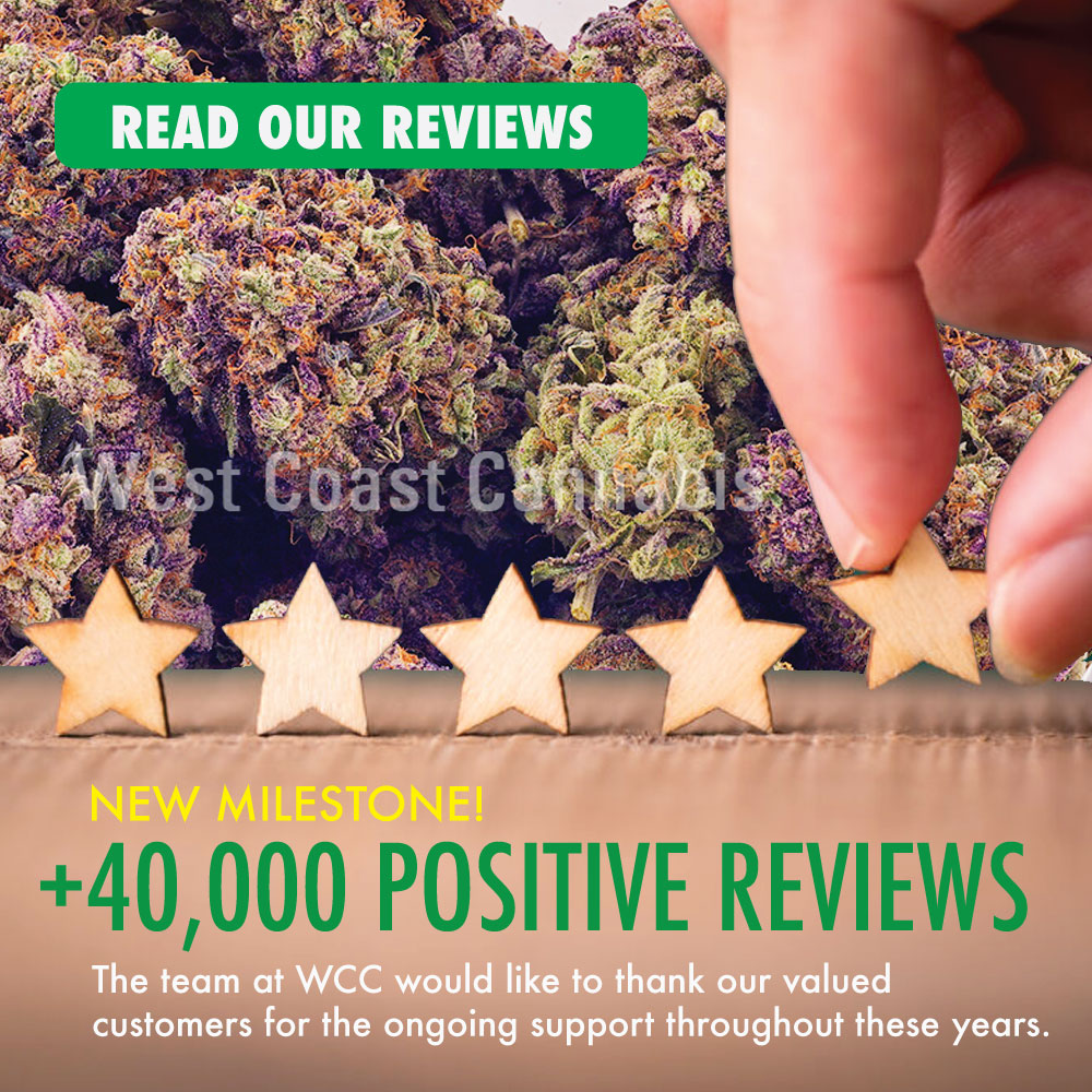 wcc review banner