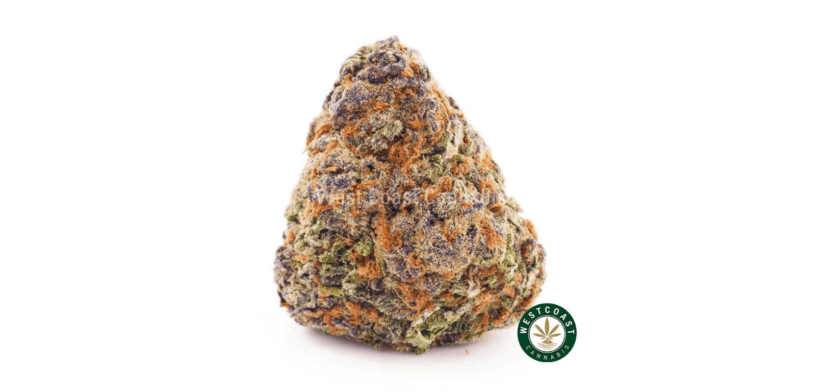 If you are going to get only one THCV strain, then it has to be the world-famous Durban Poison AAA. 