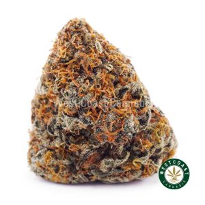 Buy weed Orange Crush AAA wccannabis weed dispensary & online pot shop