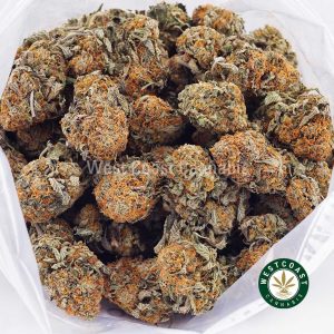 Buy weed Orange Crush AAA wccannabis weed dispensary & online pot shop