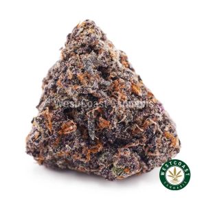 Buy weed Purple Pug Breath AAAA wccannabis weed dispensary & online pot shop