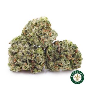 Buy weed Gas Mask AAAA (Popcorn Nugs) wccannabis weed dispensary & online pot shop