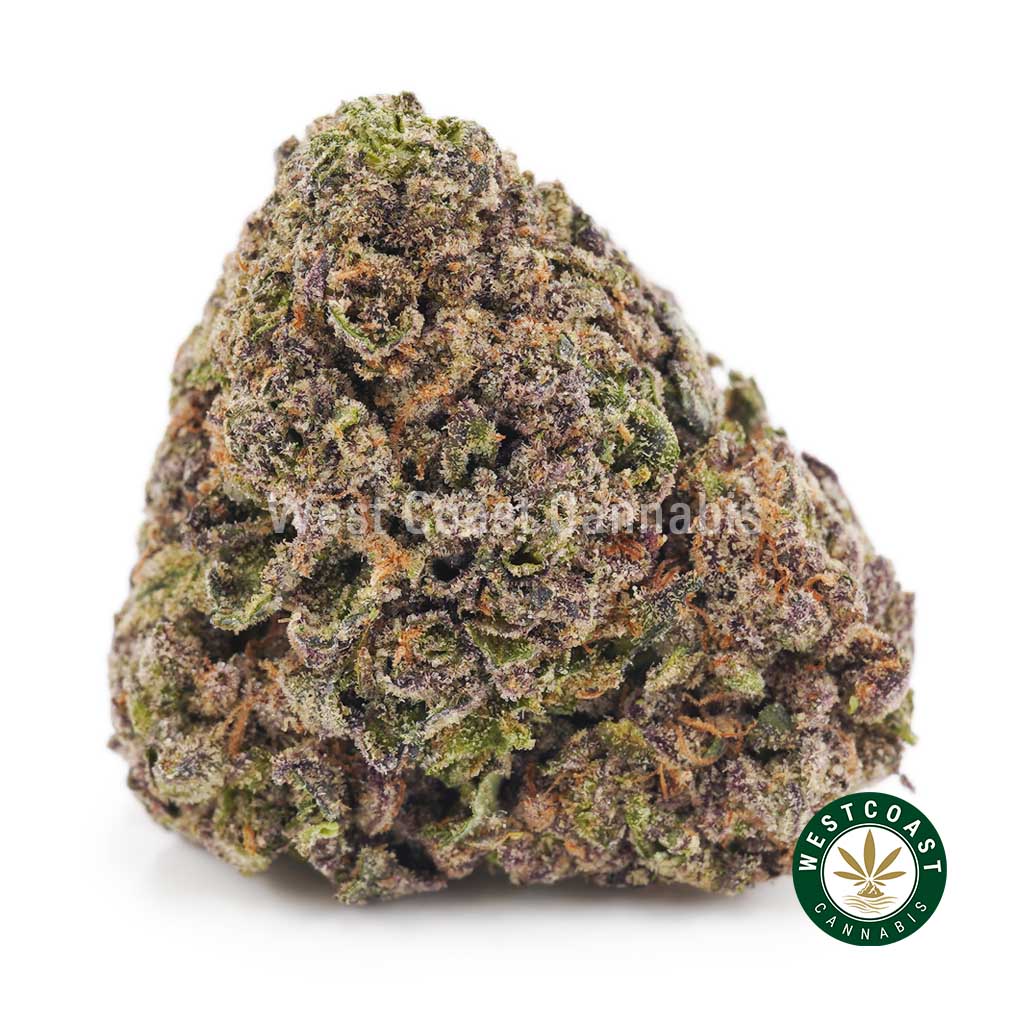 Buy weed Purple Gelato AAAA wccannabis weed dispensary & online pot shop