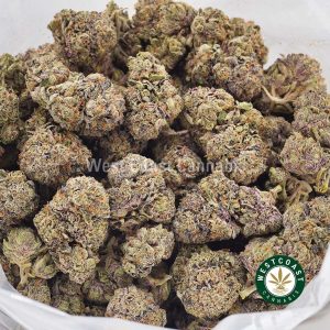 Buy weed Purple Wedding Cake AAAA wccannabis weed dispensary & online pot shop