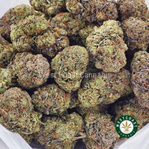 Buy weed Blueberry Gelato AAAA wccannabis weed dispensary & online pot shop