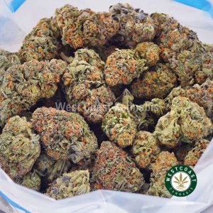 Buy weed Strawberry Cheesecake AAA wccannabis weed dispensary & online pot shop