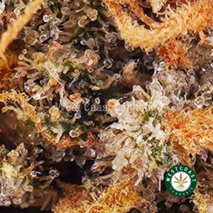 Buy weed Orange Haze AA wccannabis weed dispensary & online pot shop