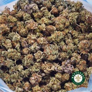 Buy weed Afghan Haze AAA (Popcorn Nugs) wccannabis weed dispensary & online pot shop