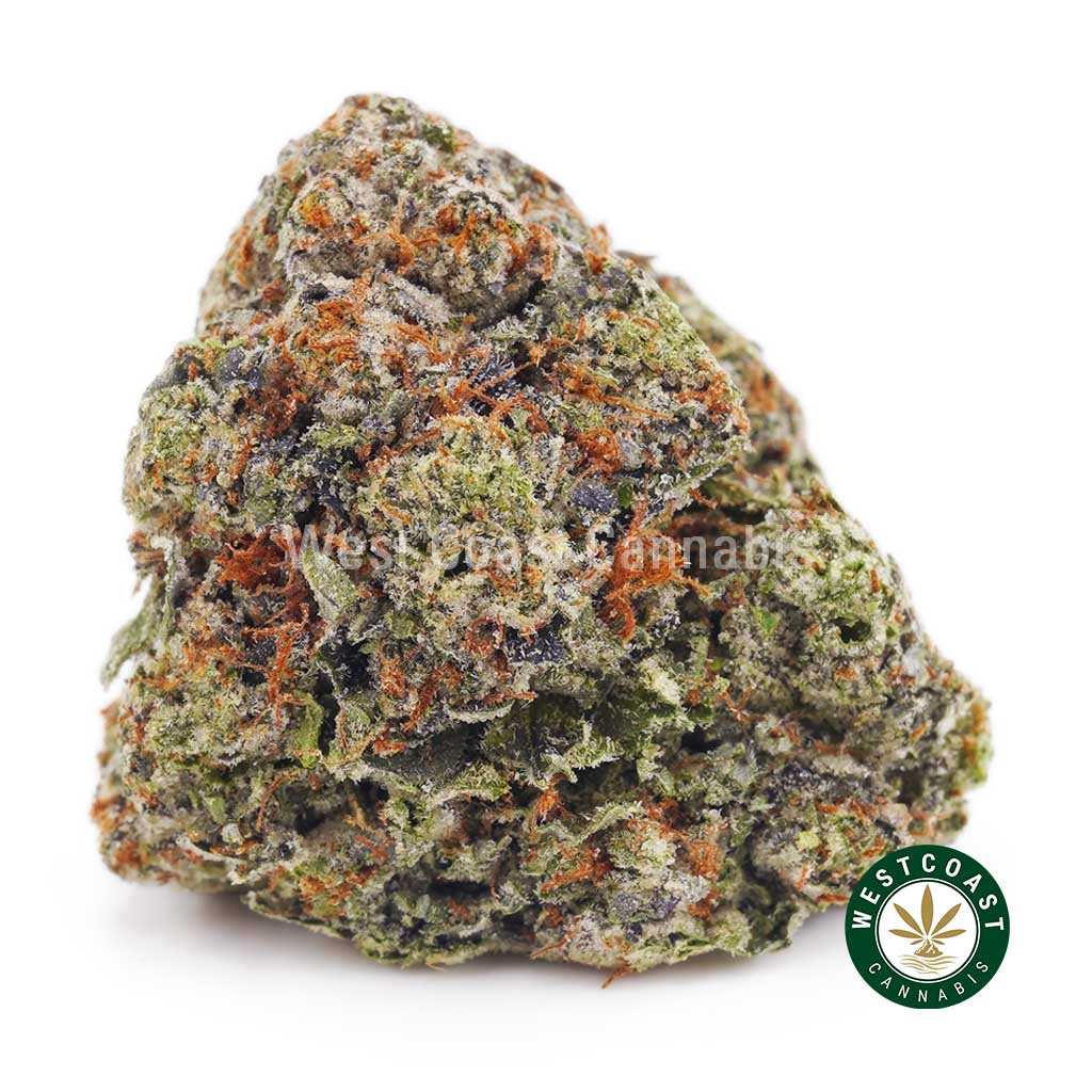 Buy weed Supreme Blueberry AAAA+ wccannabis weed dispensary & online pot shop
