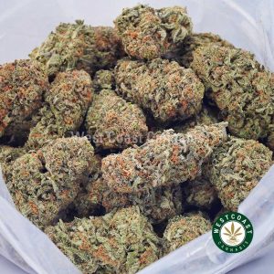 Buy weed Platinum Girl Scout Cookies AAAA wccannabis weed dispensary & online pot shop